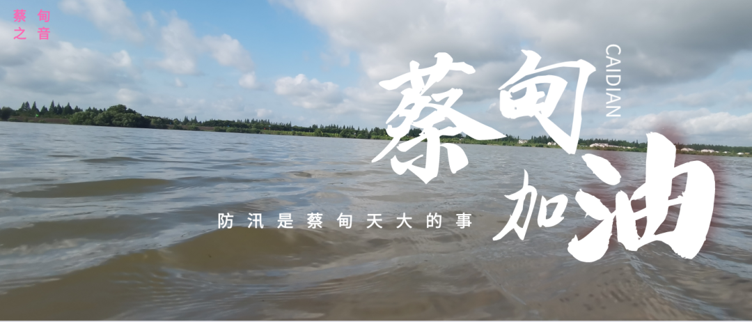 蔡甸區(qū)啟動(dòng)防汛ⅰ級(jí)應(yīng)急響應(yīng)，做好鋪土釘防汛木樁工作