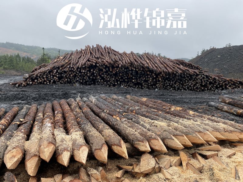 6米長(zhǎng)松木樁有哪些作用，多少錢(qián)一根？
