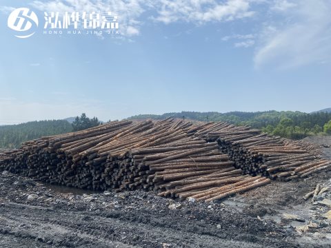 河道打樁為什么選擇松木樁來處理軟地基？-松木樁施工使用范圍