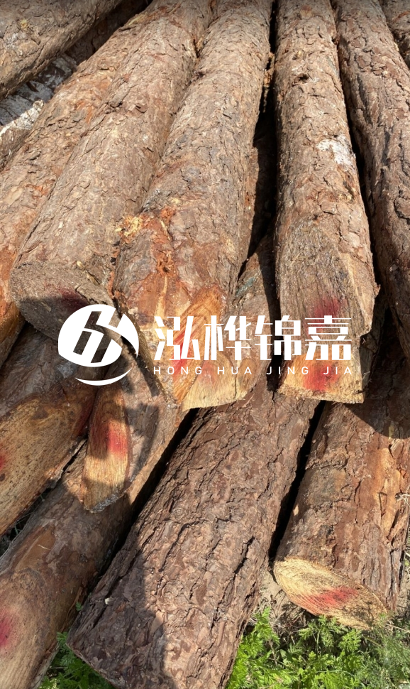 <strong>松木樁和杉木樁的用途區(qū)別？哪個更適合打樁用？</strong>