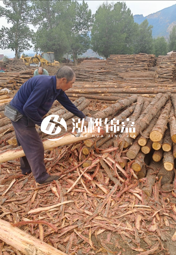 九江河底清理淤泥施工隊-河道清淤85元一方能干嗎？