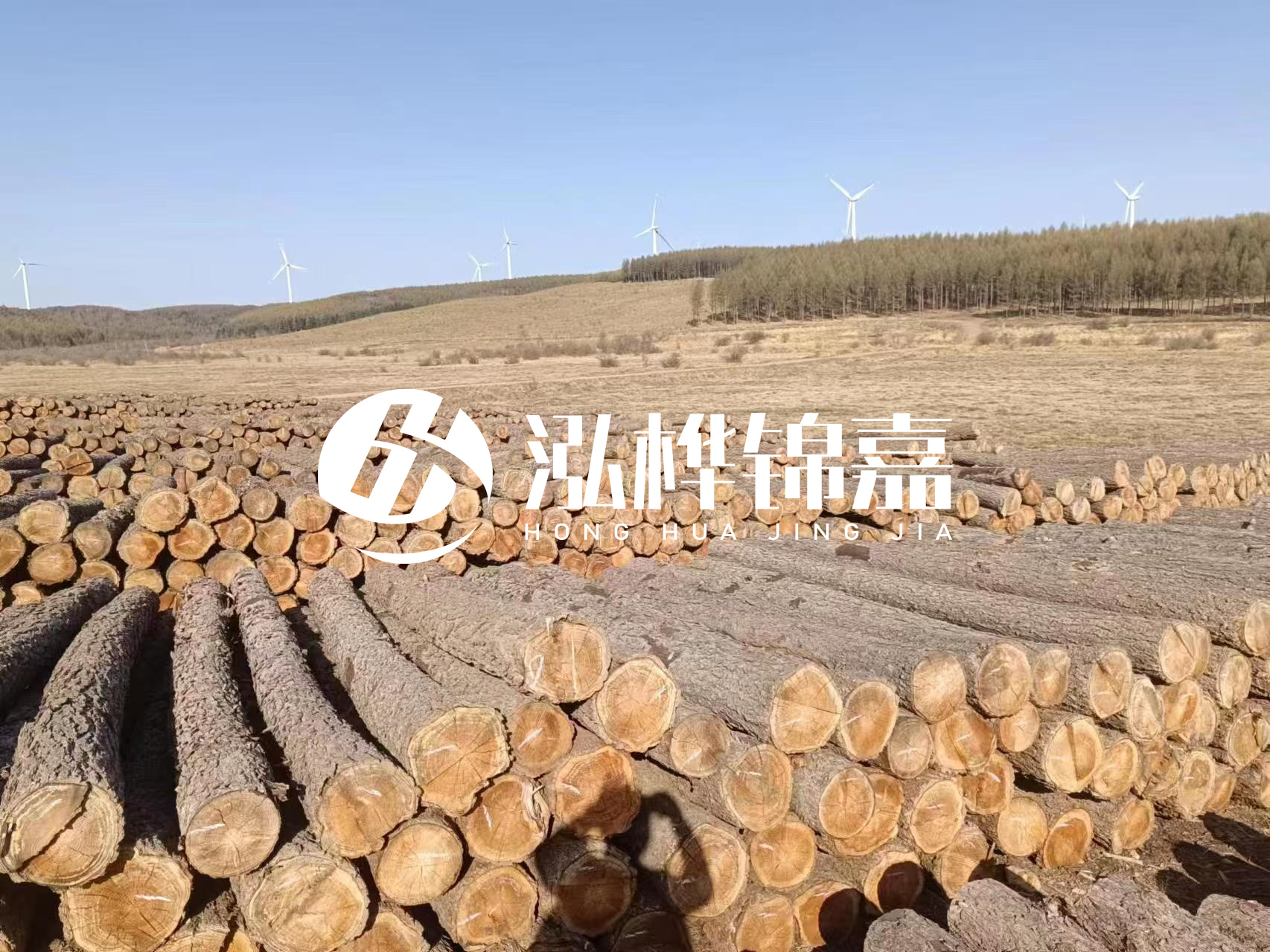 咸寧松木樁源頭廠家-哪里能買到質(zhì)量好的松木樁打樁木？