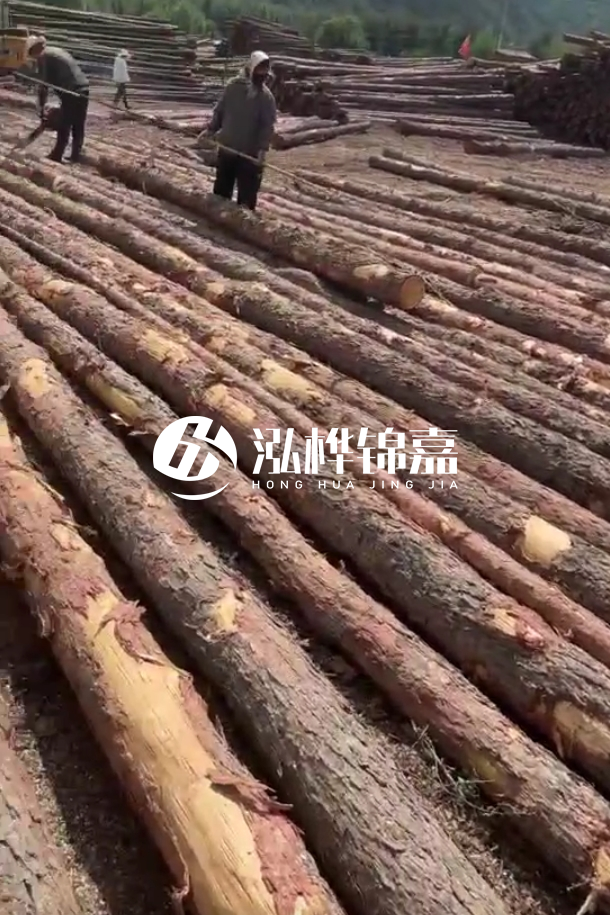 ?？谒赡緲对搭^廠家-松木樁最長(zhǎng)可以做多少米？