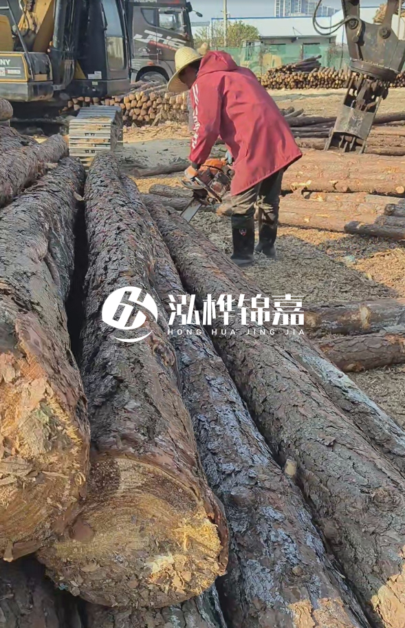 長(zhǎng)沙打樁木批發(fā)廠家在哪里？聯(lián)系方式是什么？