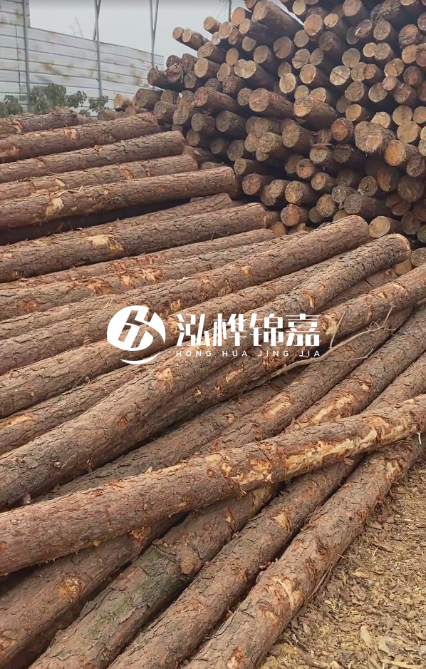 山西河道木樁護(hù)岸價(jià)格多少錢一米-每米河道打樁要花多少錢？