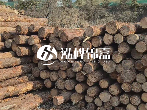 落葉松木材的主要產(chǎn)地在哪里？為什么比其他松木更耐腐蝕？