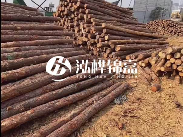 河道木樁施工遇到淤泥怎么辦？打多深才能防沖刷？