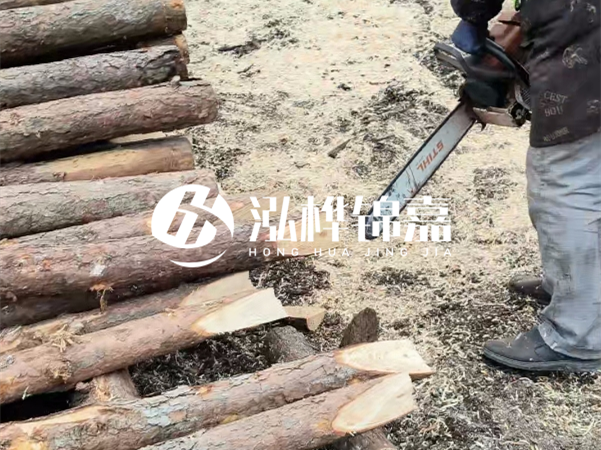 杉木樁批發(fā)廠家哪家好？產(chǎn)地直供渠道推薦！