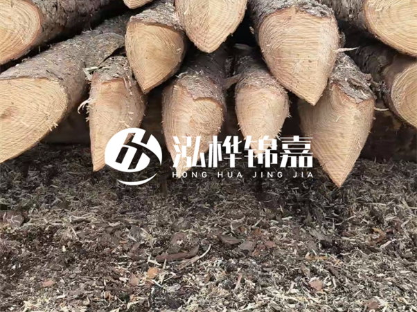 打樁木樁與鋼樁相比有哪些優(yōu)缺點(diǎn)？如何進(jìn)行后期維護(hù)？