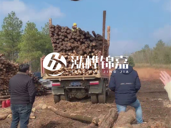 松木樁價(jià)格是按米算還是按根算？6米松木樁批發(fā)價(jià)每根多少錢？