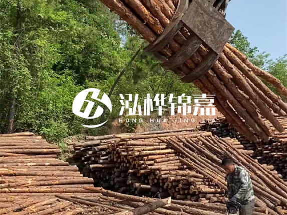防汛木樁頂部怎么防裂？防汛木樁被洪水沖歪怎么辦？