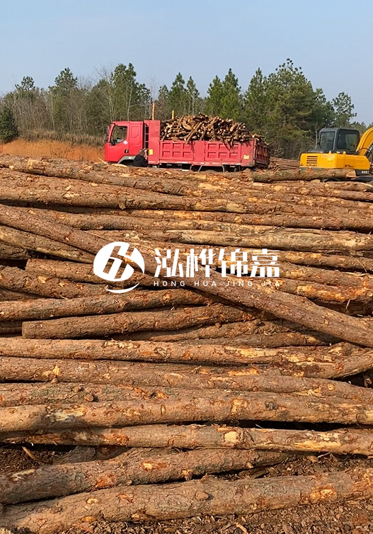 8米小頭11-13CM的松木樁價格是多少？打樁施工怎么算？