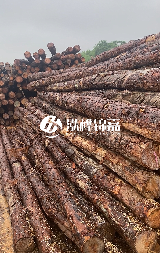 購(gòu)買松木樁注意事項(xiàng)有哪些-不同直徑松木樁區(qū)別有哪些？