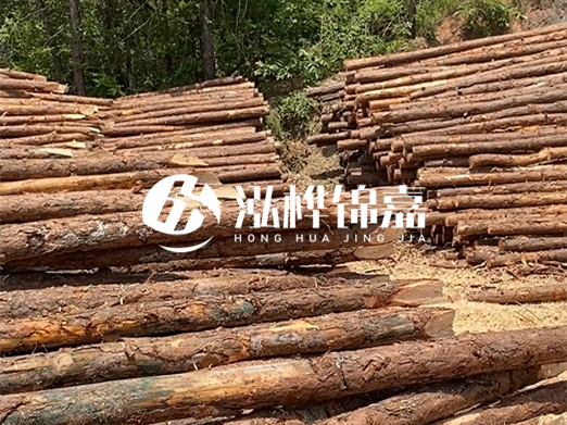 松木樁的運(yùn)輸費(fèi)用是否包含卸車費(fèi)？卸貨時(shí)需要注意哪些安全問題？