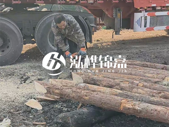 松木圓木價(jià)格大概多少一方-松木樁廠家按方可以賣嗎？