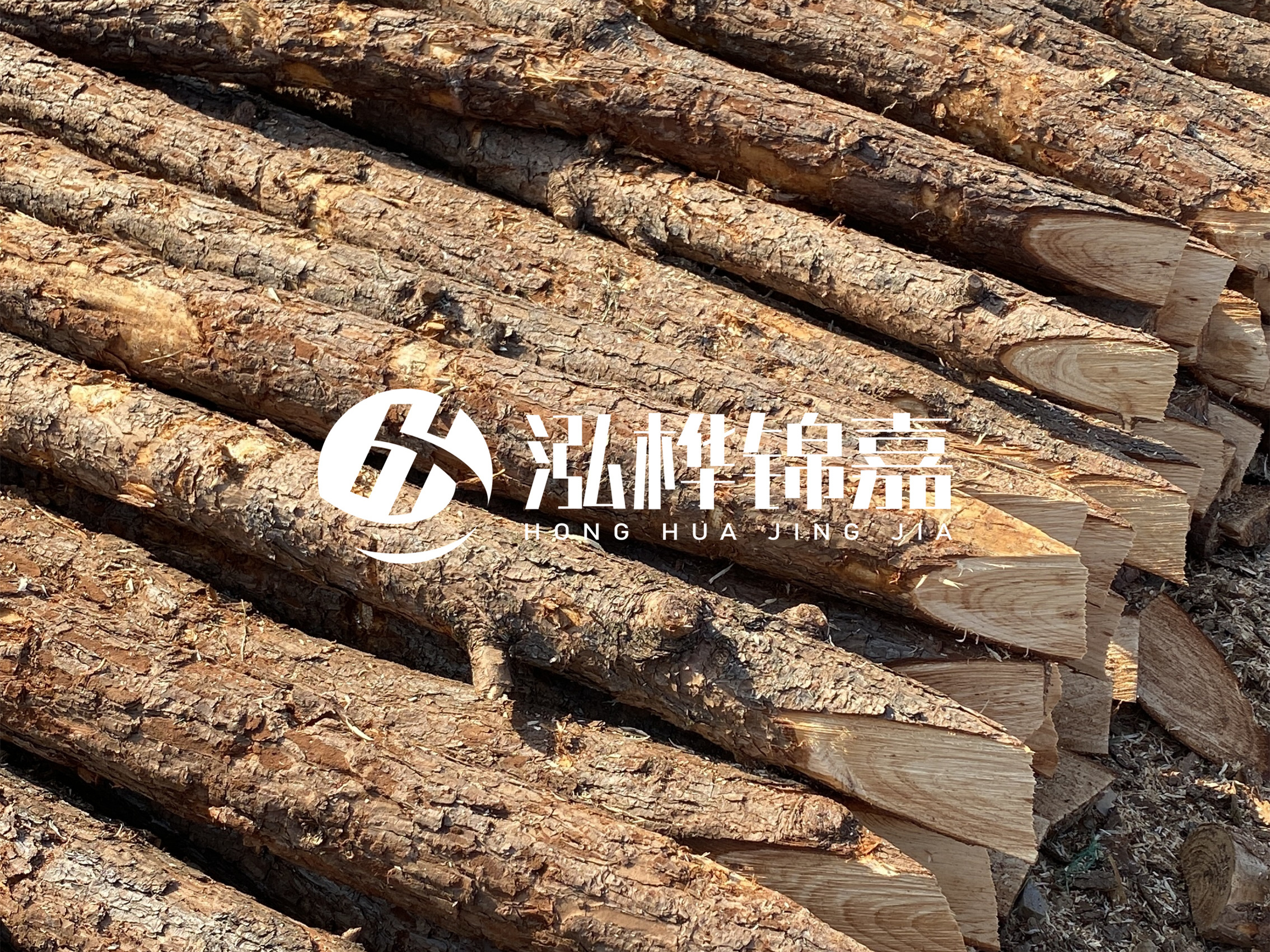 8 米超大直徑松木樁的價格是多少？帶皮和去皮松木樁價格差多少？