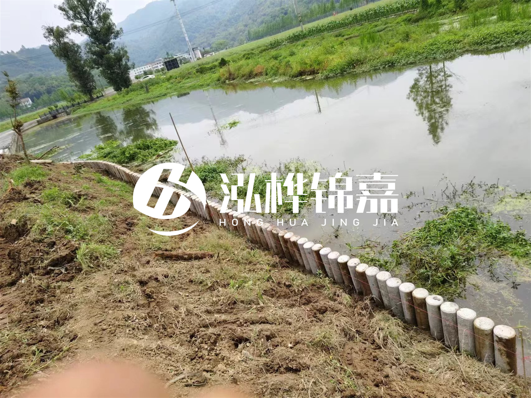 松木樁加固河道與水泥樁對比如何？哪一種更加適合您？