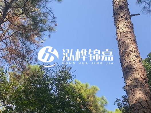 松木樁廠家泓樺錦嘉可以實(shí)地考察嗎？需要提前預(yù)約嗎？