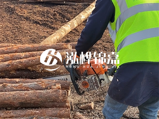 河道打木樁多少錢(qián)一根？5米直徑10松木樁打樁多少錢(qián)？