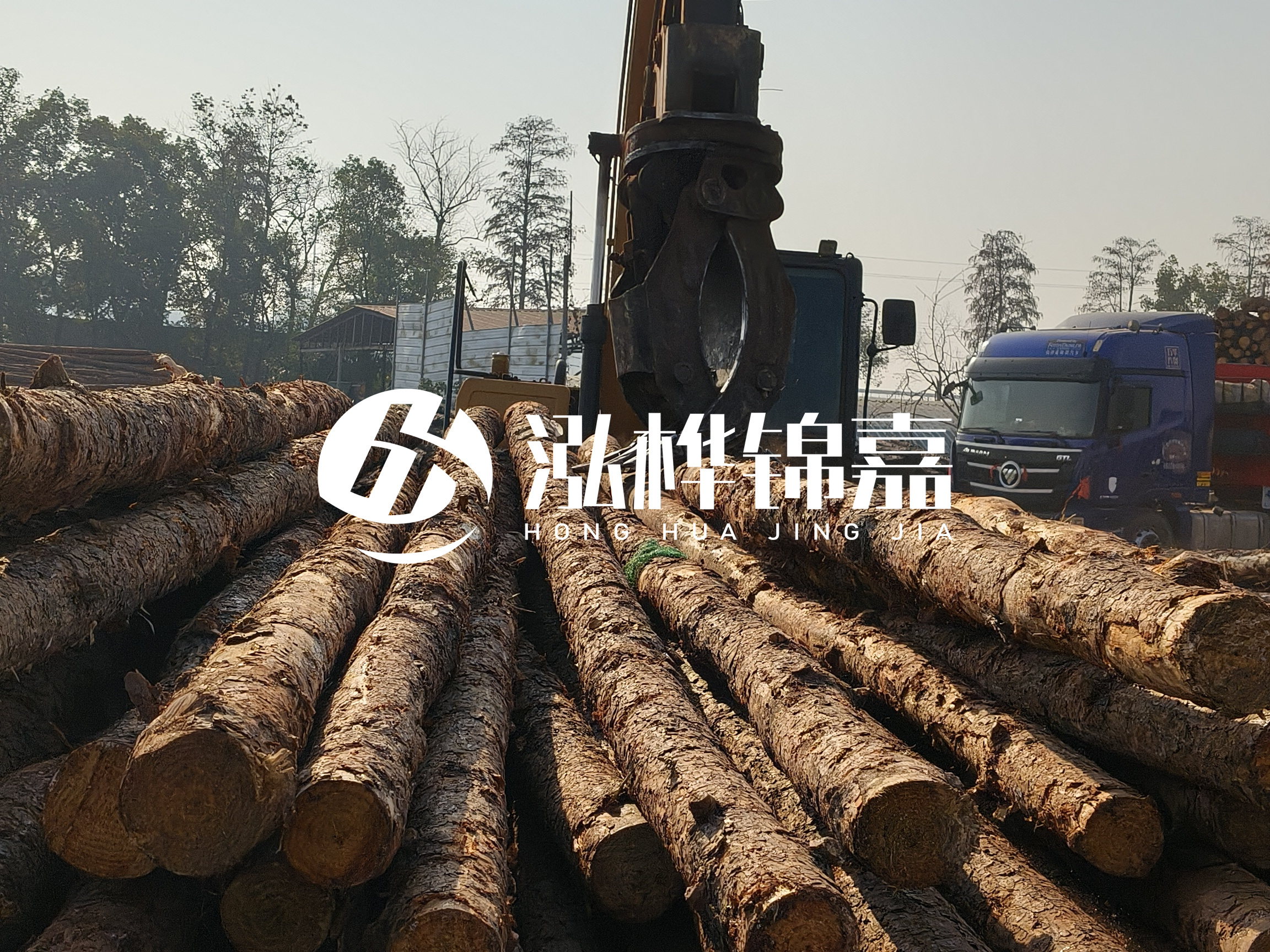 松木樁可以用來做什么？常用于哪些工程？