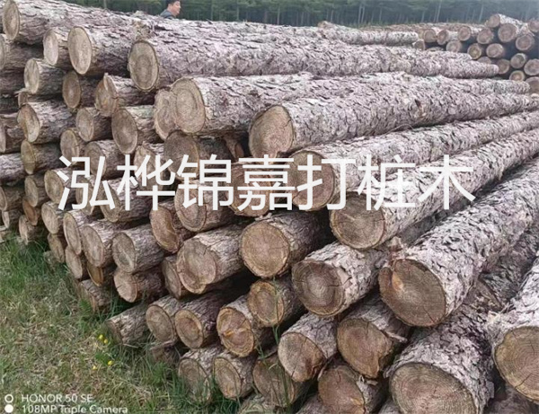 高效修補，保駕護航！水泥路面高強度修補料為您解決煩惱！