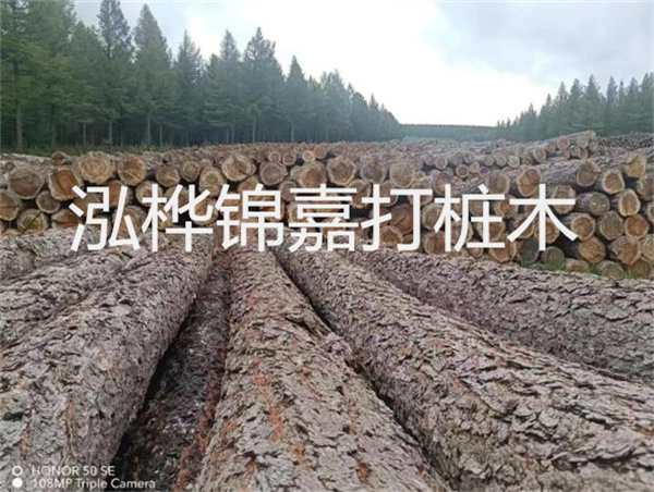 高效施工，圓松木樁助力建筑工程進展順利
