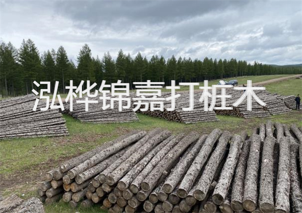 鋼結(jié)構施工方案大全免費提供，助力工程建設
