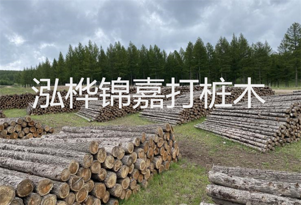 預制松木樁施工工藝：優(yōu)質材料，高效快速，堅固耐用