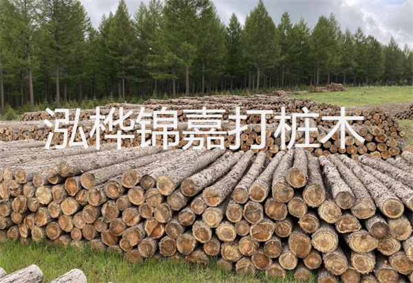 松木樁能施工嗎？探究視頻揭秘真相！