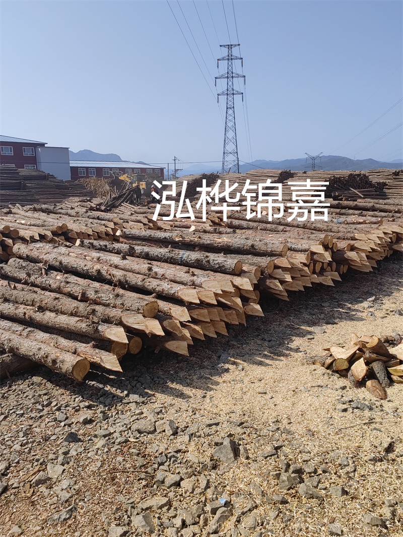 深入了解松木樁基礎(chǔ)施工單價，助力工程建設(shè)順利進行！