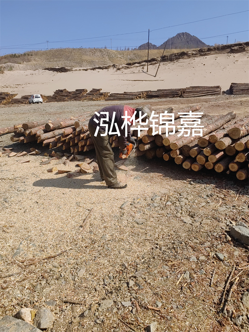 松木樁駁岸施工，打造水上風景線
