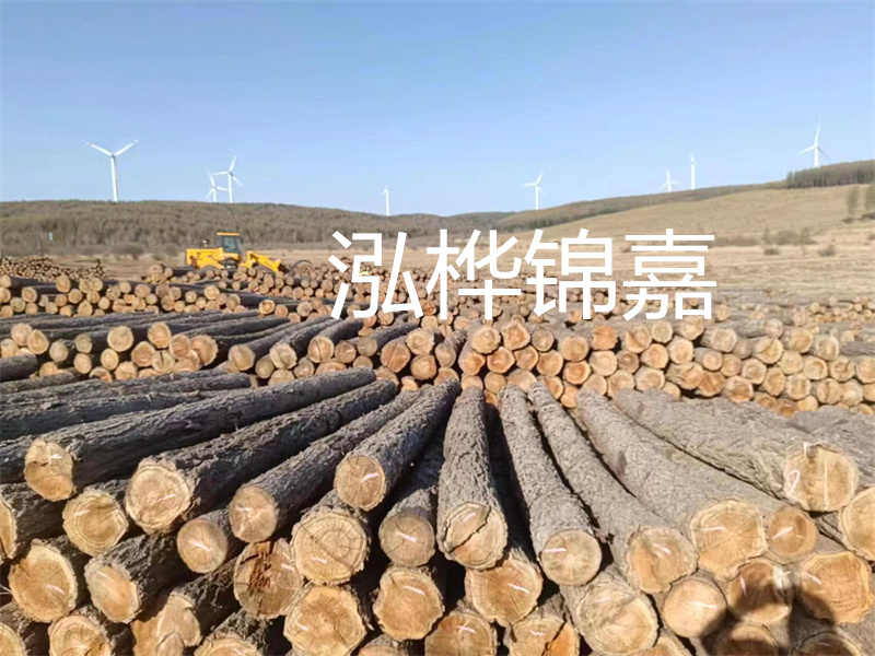 溫州松木樁施工廠家——為您打造堅固穩(wěn)定的建筑基礎！
