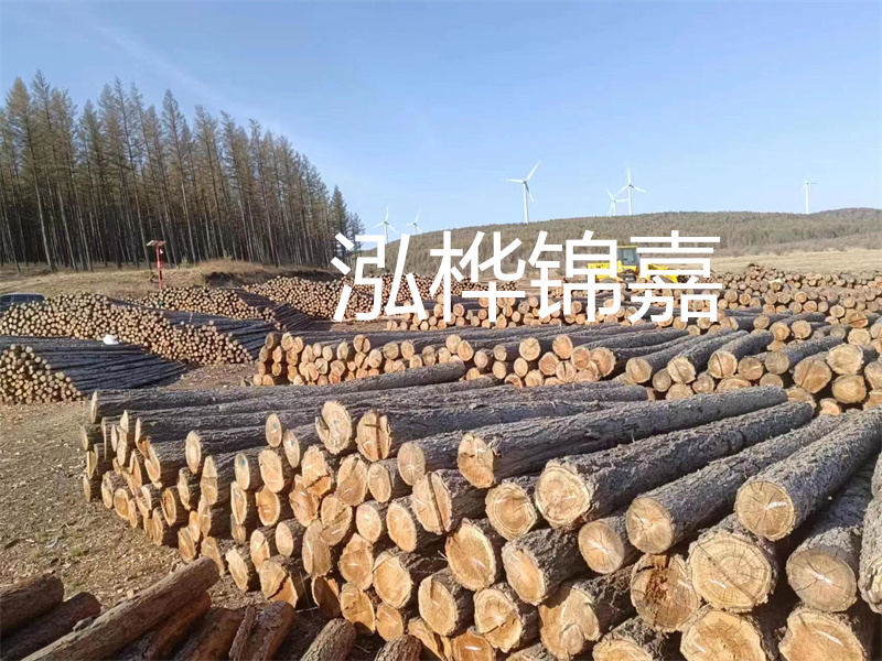 用路基松木樁施工方案提升工程質量描述：了解路基松木樁施工方案的重要性，提高工程質量關鍵詞：路基松木樁，施工方案，工程質量