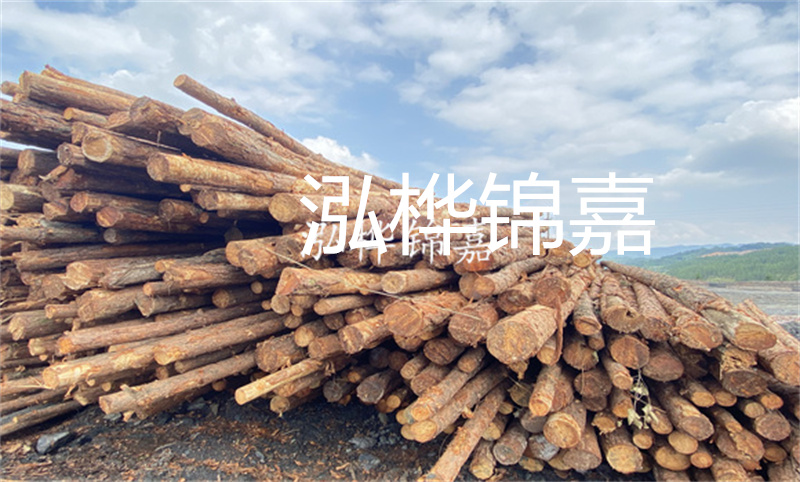 濮陽松木樁，卓越品質，安全可靠