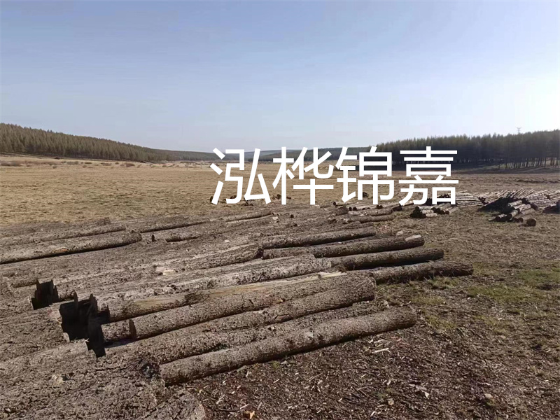 鄂州松木樁哪里好？推薦泓樺錦嘉松木樁業(yè)！